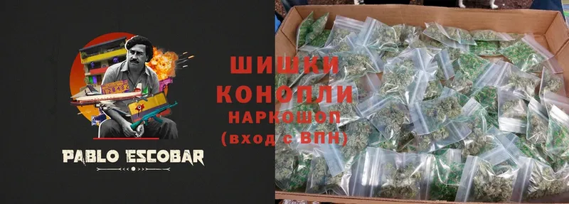 Шишки марихуана Bruce Banner  мориарти клад  Белозерск  купить наркотики цена 